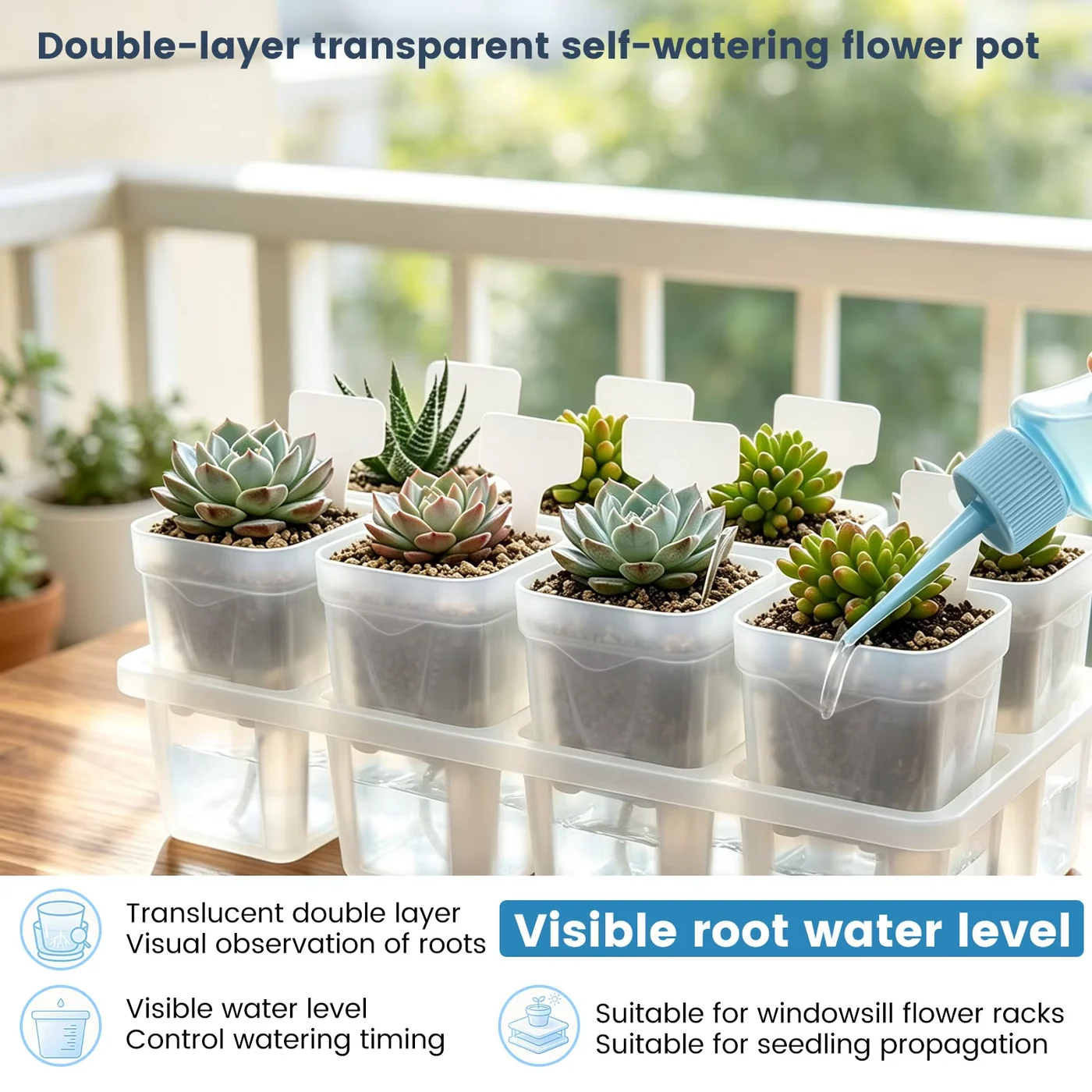 Several transparent self-watering planter pots arranged by a bright window